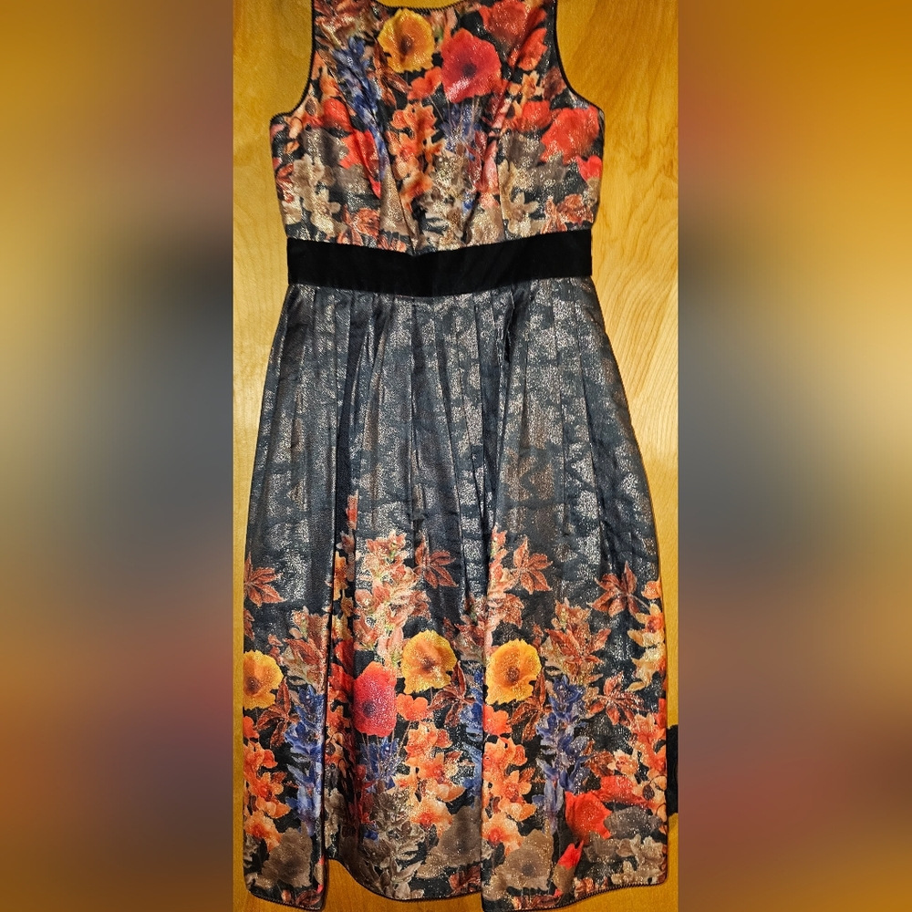 Adrianna Papell dress size 6